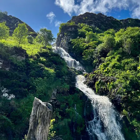 Rose Киллибегс