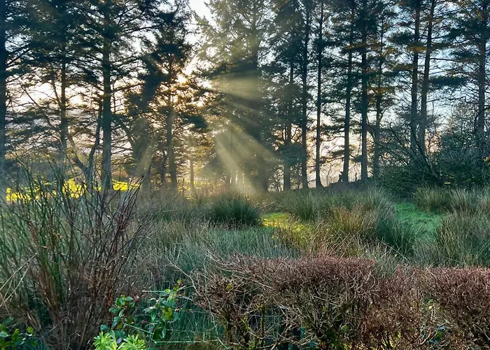 Rose Hébergement de vacances Killybegs